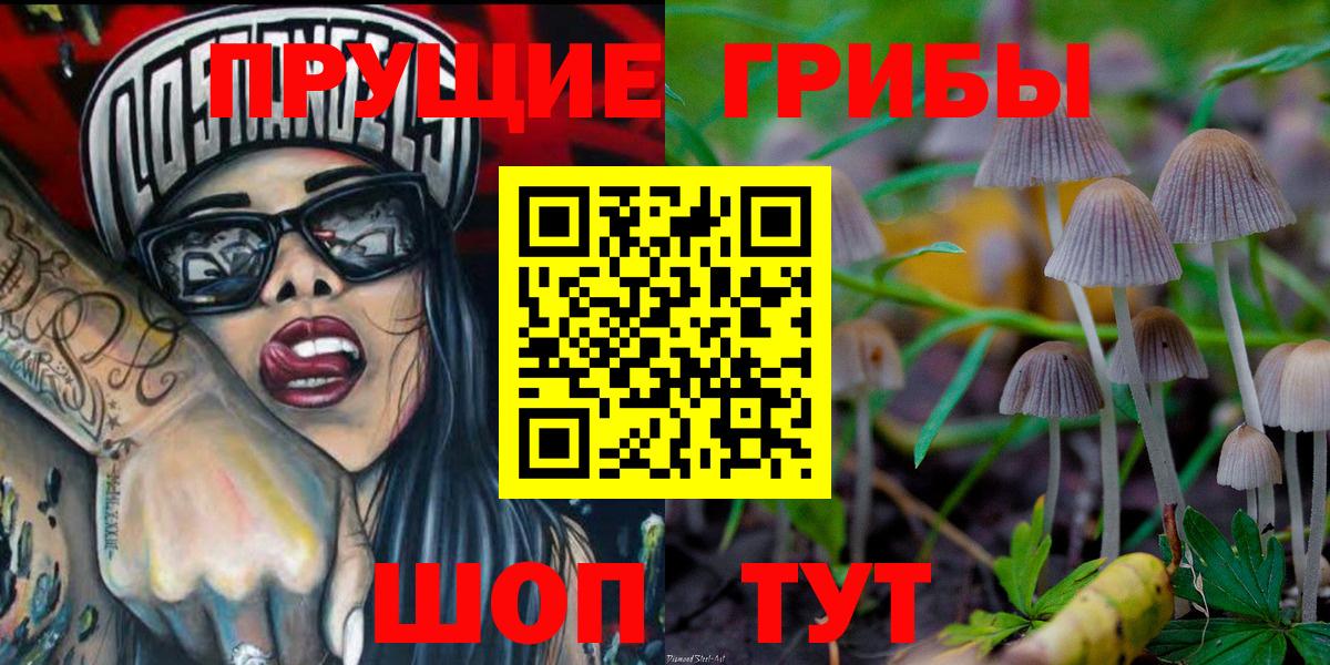 Псилоцибиновые грибы Psilocybe Борзя