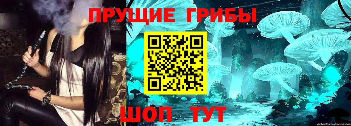 Псилоцибиновые грибы мухоморы  Вход с VPN  Борзя  Псилоцибиновые грибы мухоморы 